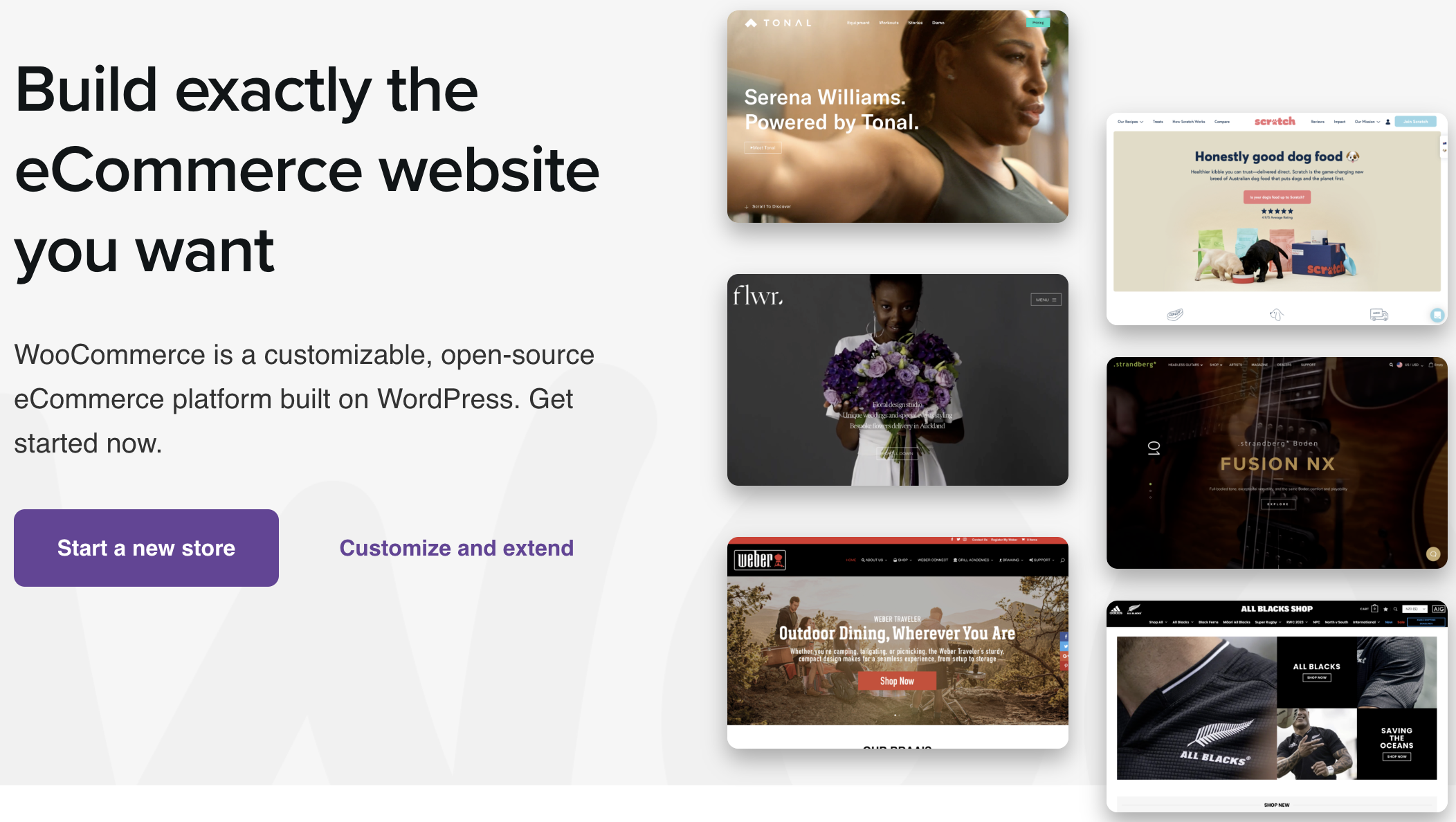How to Create & Sell LearnDash & WooCommerce Promo Codes 2 — WooCommerce Homepage